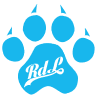 Logo da RDL